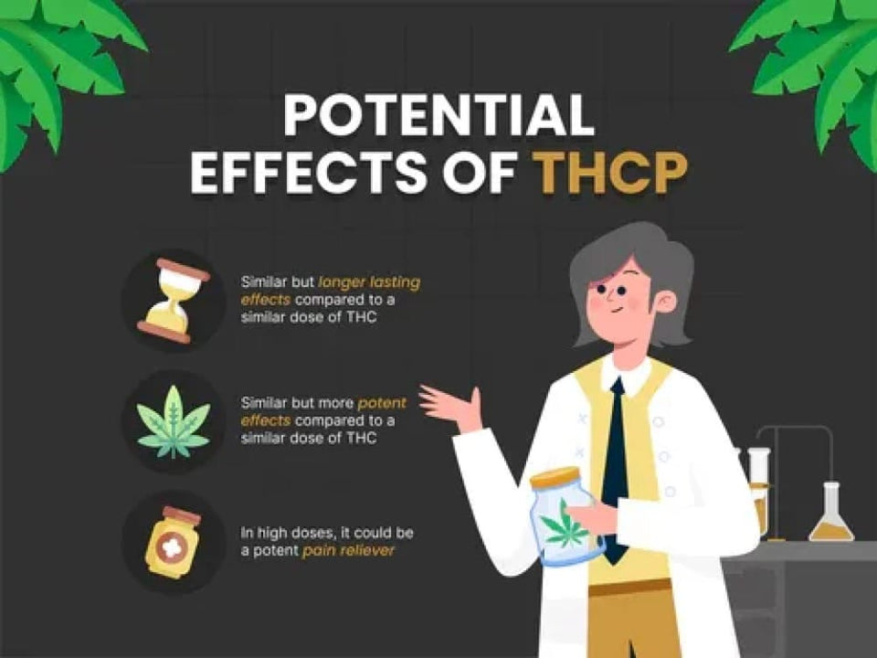 What is THCP? Understanding Tetrahydrocannabiphorol