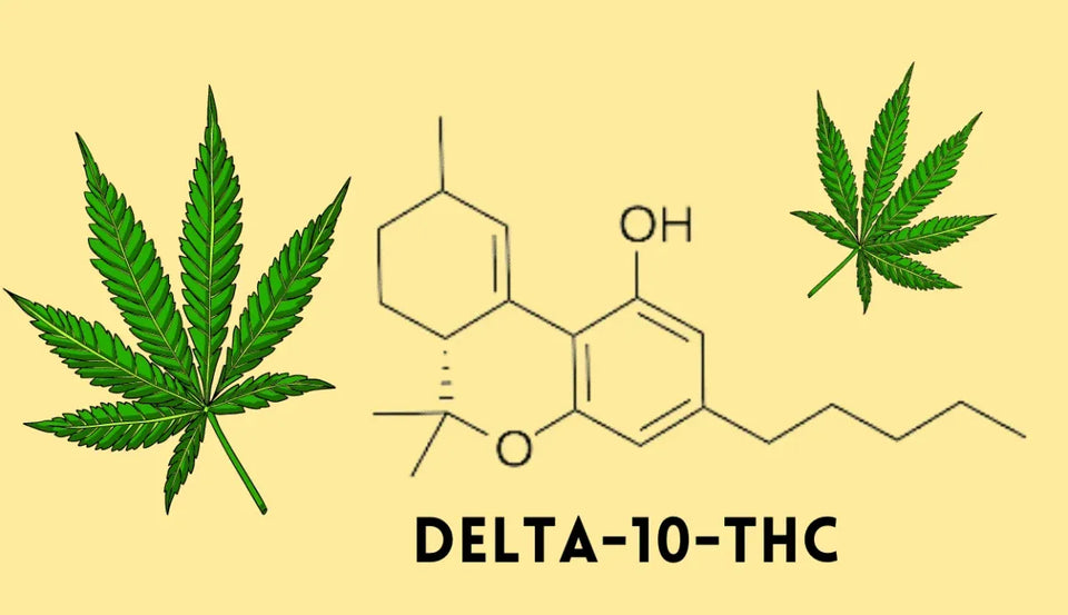 What is Delta-10 THC? Exploring the Newest Cannabinoid