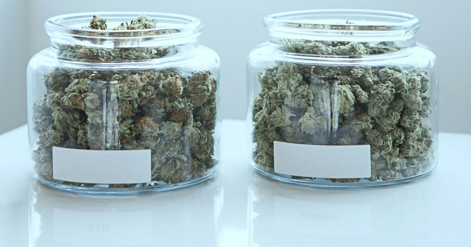 How to Properly Store Your Weed for Maximum Freshness