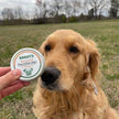 CBD Paw & Nose Balm