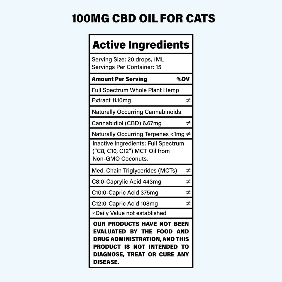 CBD Oil For Cats