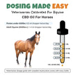 CBD Oil For Horses