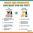 Extra Strength 2:1 CBD & CBG Oil For Dogs