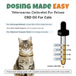 CBD Oil For Cats