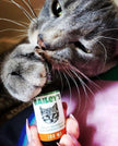 CBD Oil For Cats