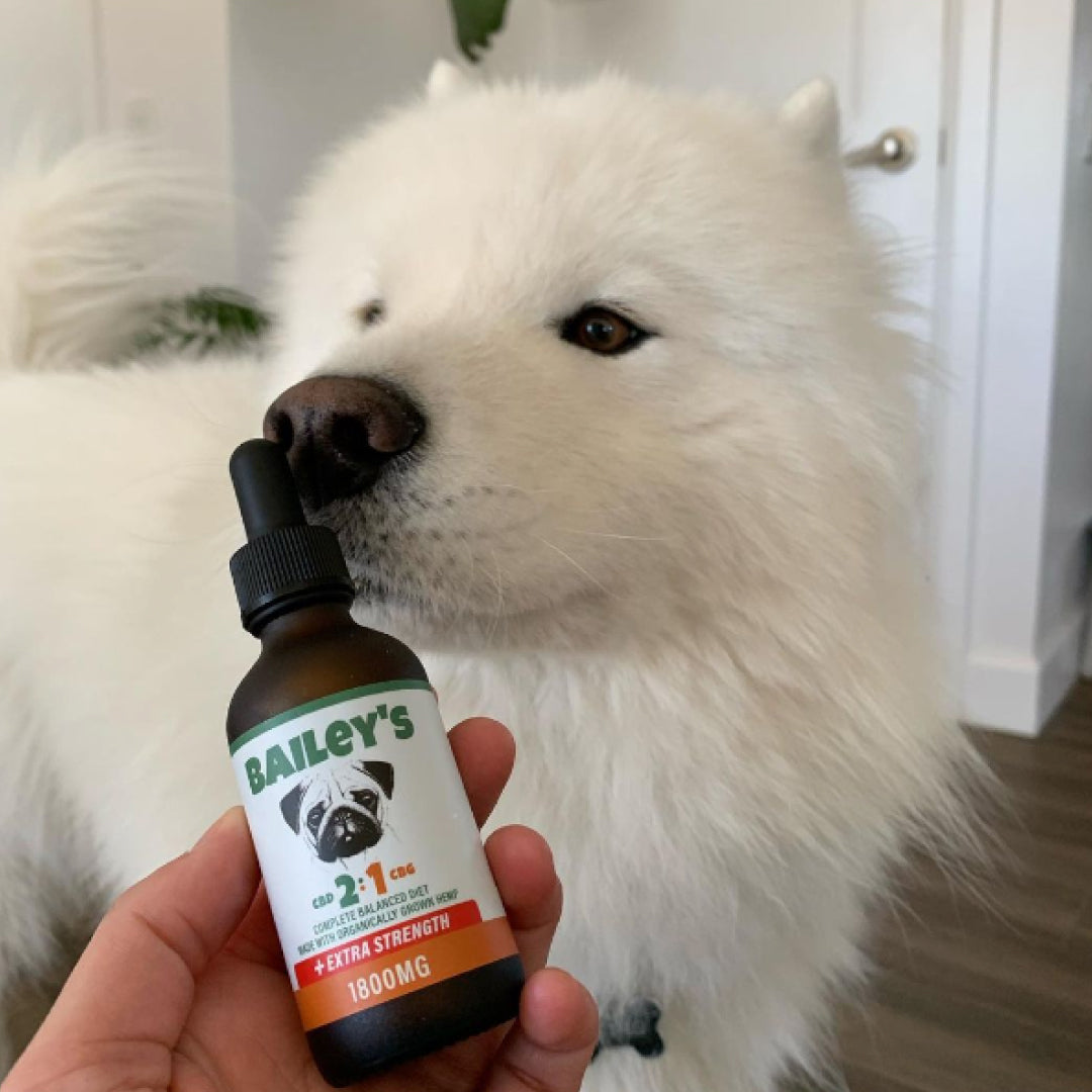 Extra Strength 2:1 CBD & CBG Oil For Dogs